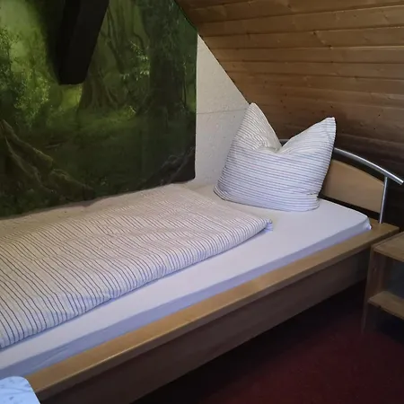 阿绍夫度假别墅 度假居 Mauchen