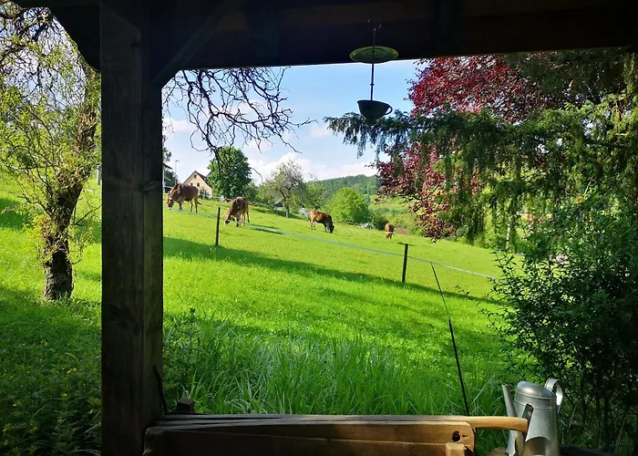 阿绍夫度假别墅